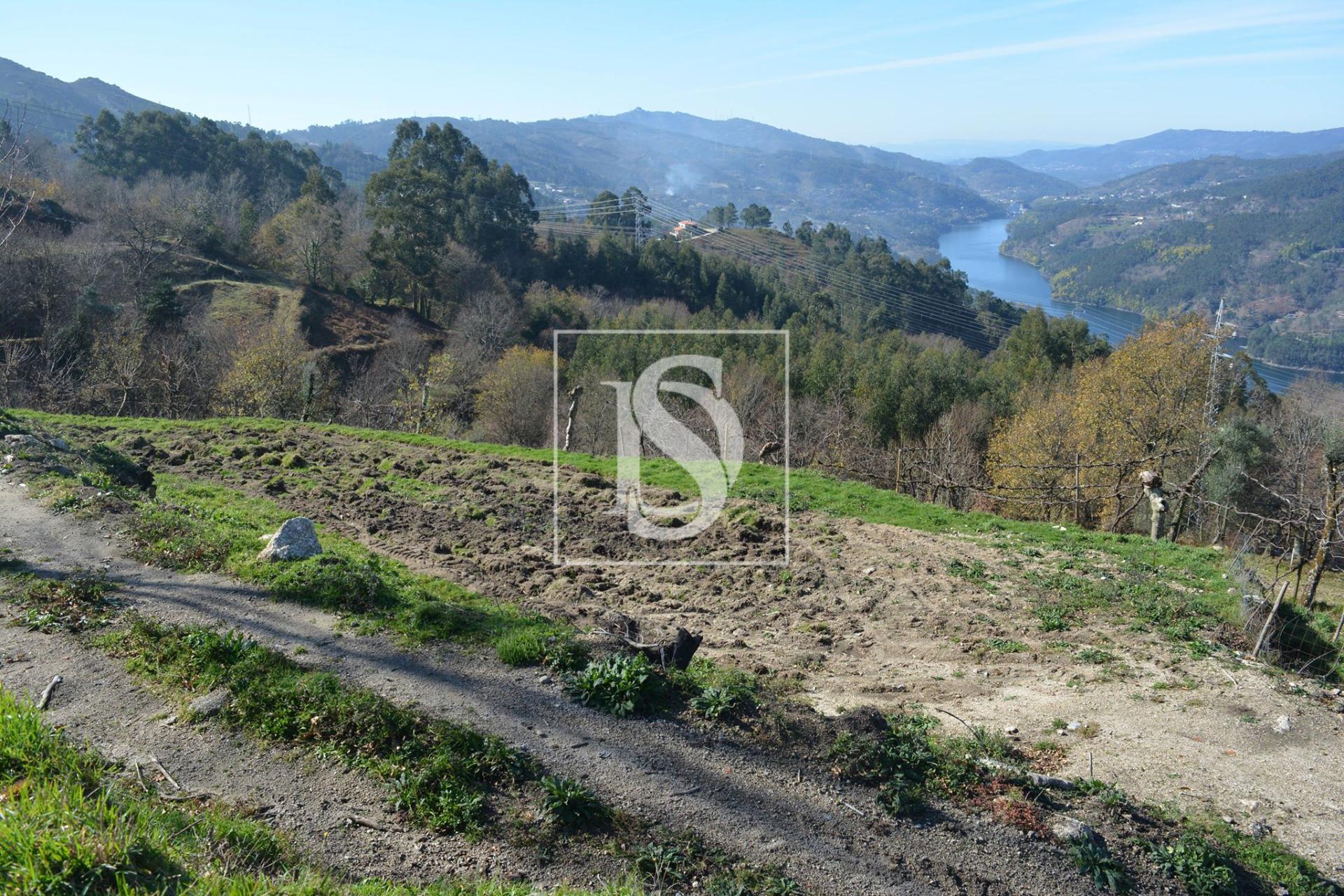 Terreno