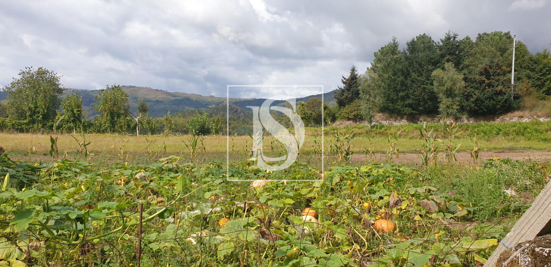 Moradia para Restaurar T3