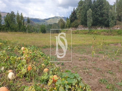 Moradia para Restaurar T3