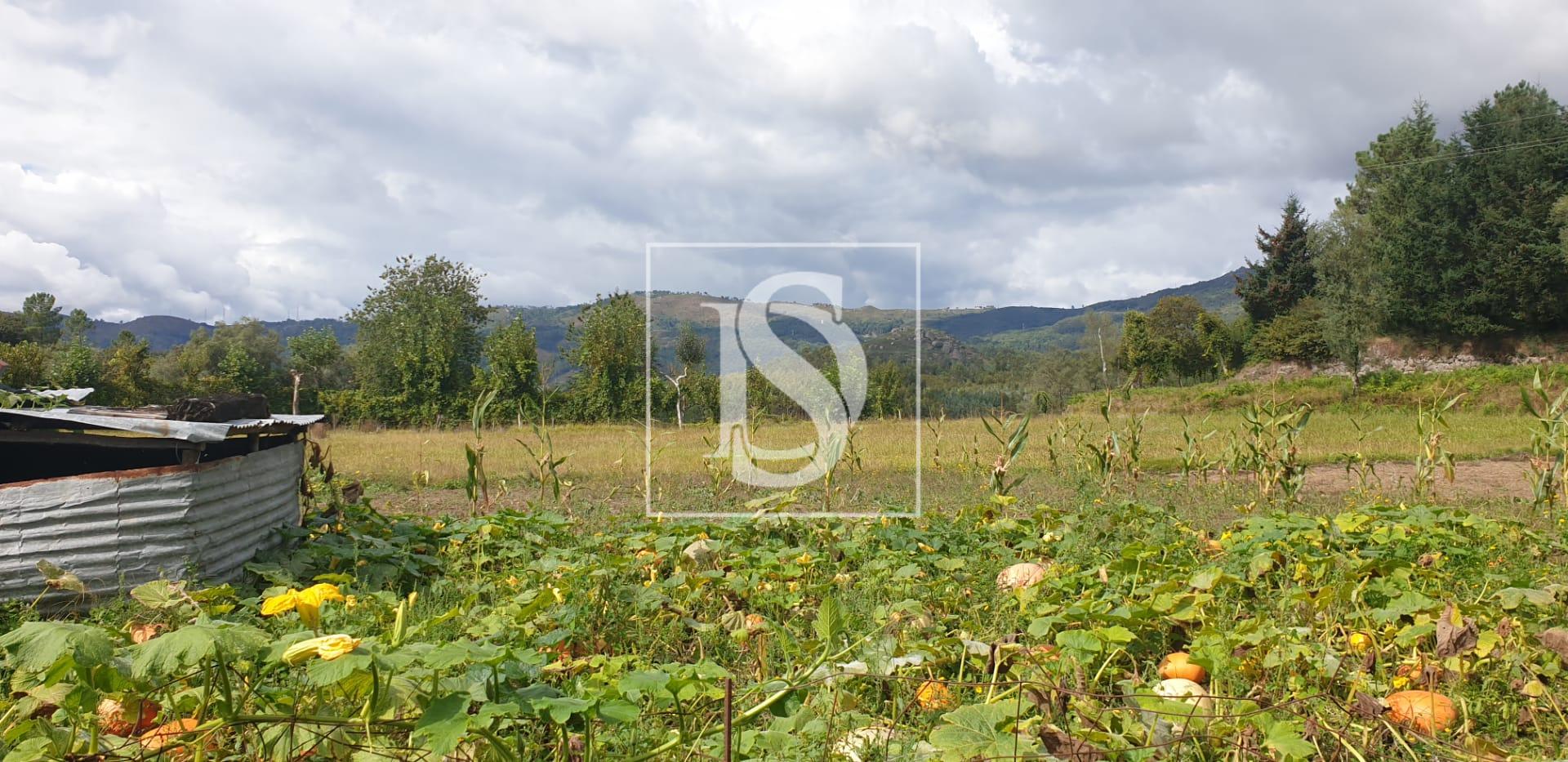 Moradia para Restaurar T3