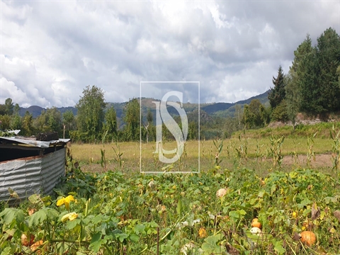 Moradia para Restaurar T3